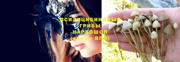 не бодяженный Бородино