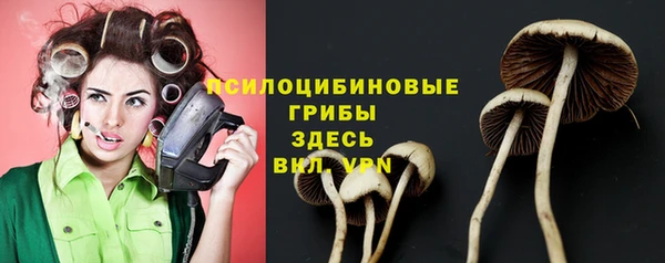 не бодяженный Бородино
