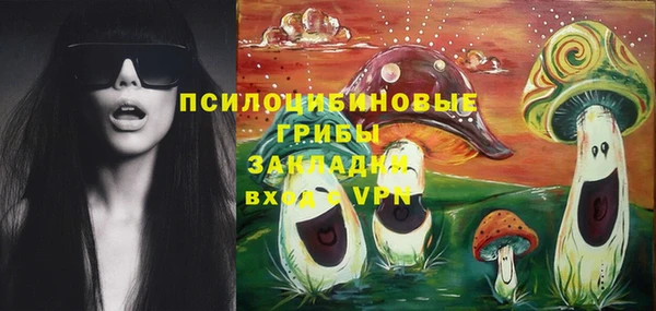 не бодяженный Бородино