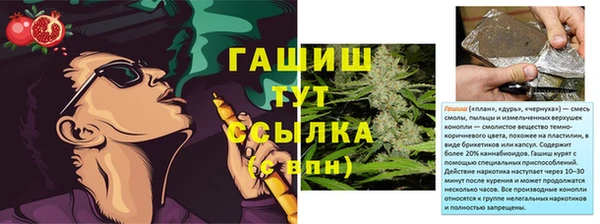 не бодяженный Бородино