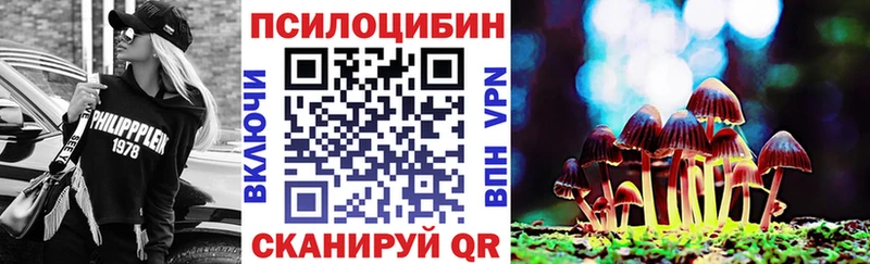 наркотики  hydra ссылка  Галлюциногенные грибы прущие грибы  Дальнереченск 